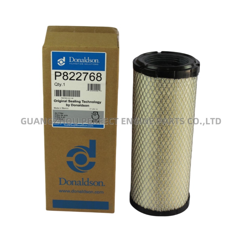 Air Filter P822768